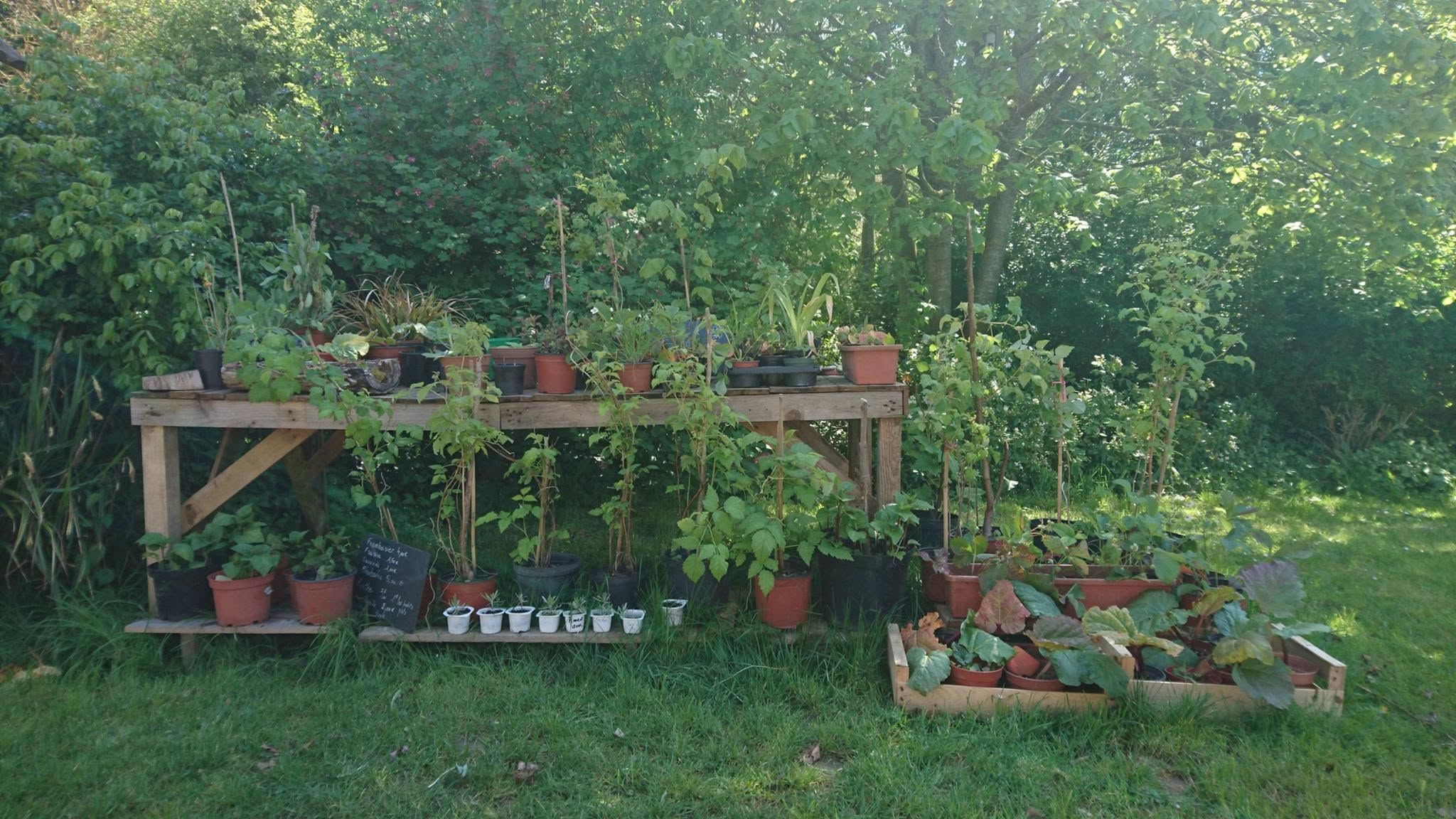 Jardin Nature des Marettes