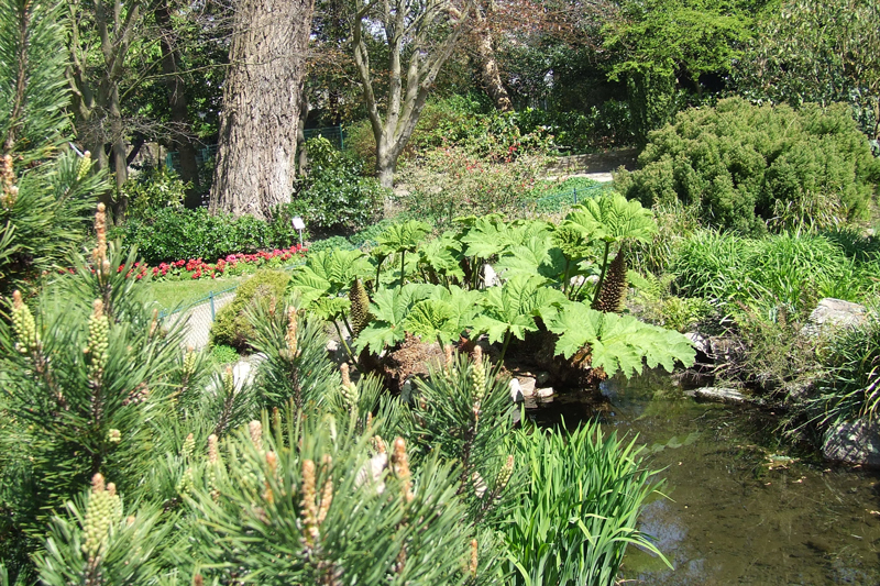 Jardin Public, Cherbourg-en-Cotentin - photo 6