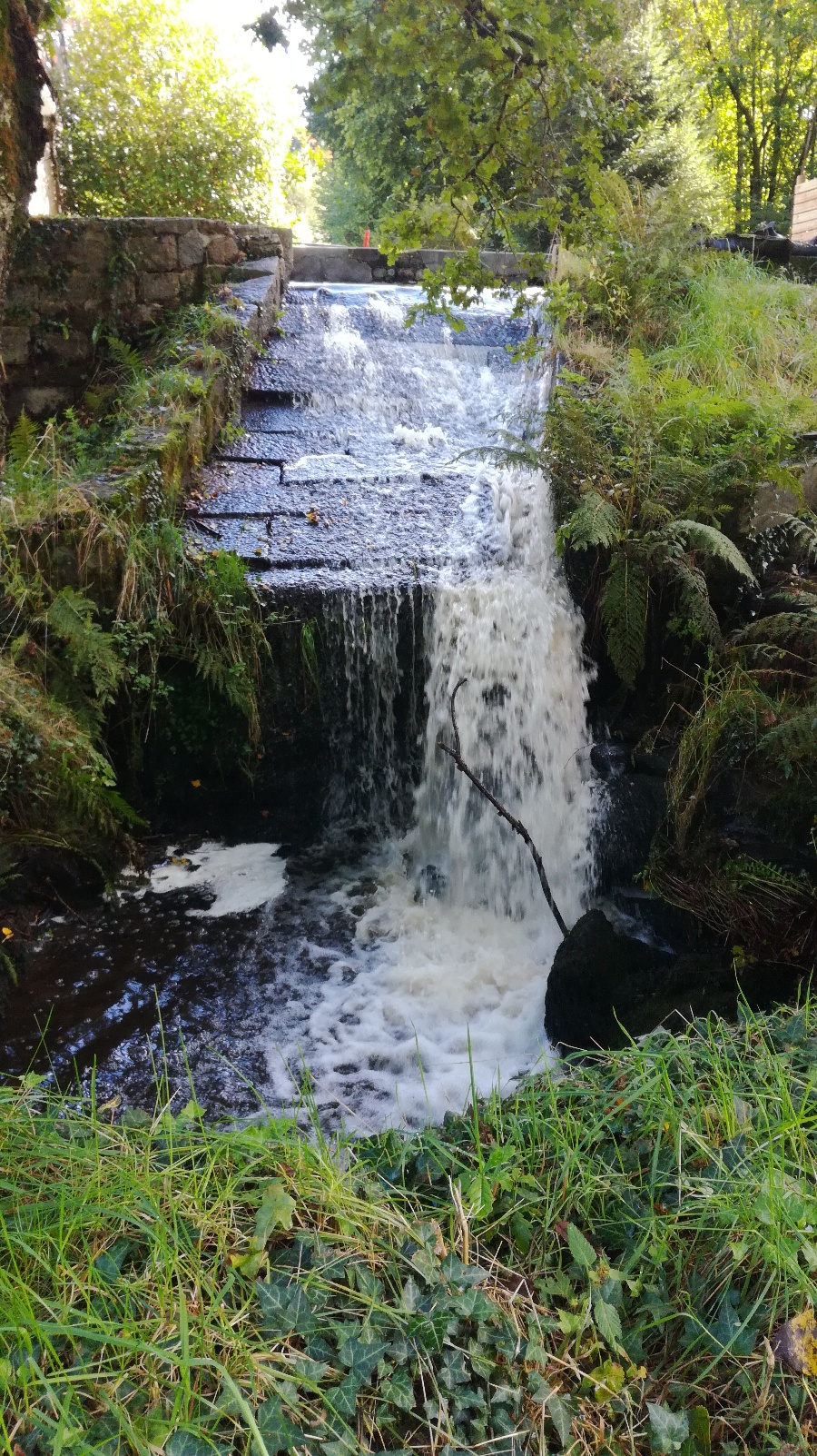 Gîte 2-4 pers. "La Boulangerie", Saint-Aubin-des-Bois - photo 2