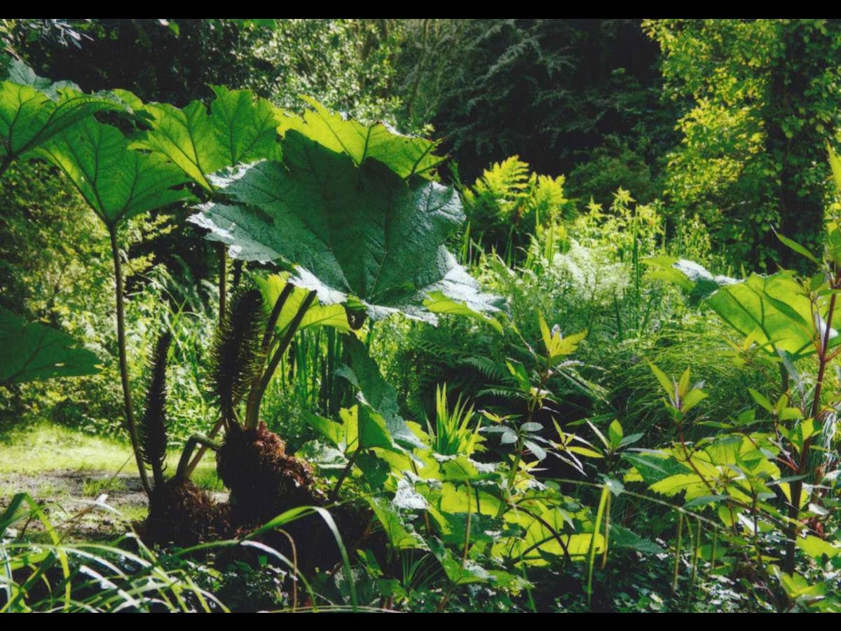 Jardins en hommage à Jacques Prévert, La Hague - photo 2