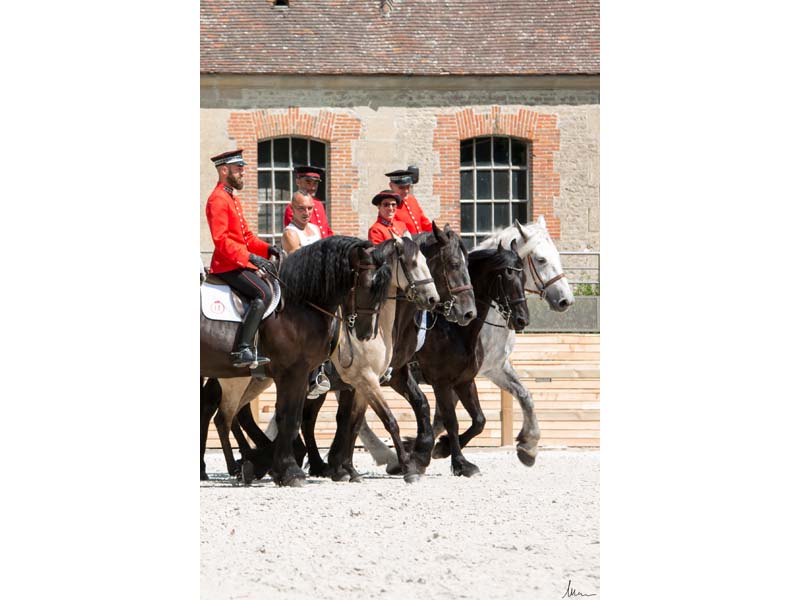 Les Jeudis du Pin - Haras national du Pin