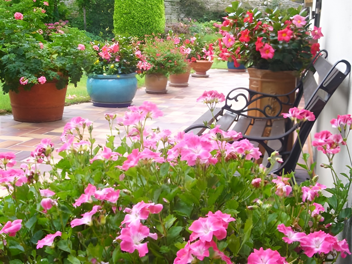 La Roseraie - Chambre Les Coquelicots, Courseulles-sur-Mer - photo 16