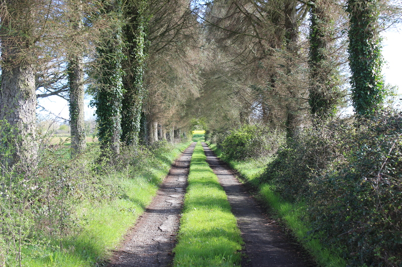 Gîte d'étape > La ferme de Cheux, Jullouville - photo 22