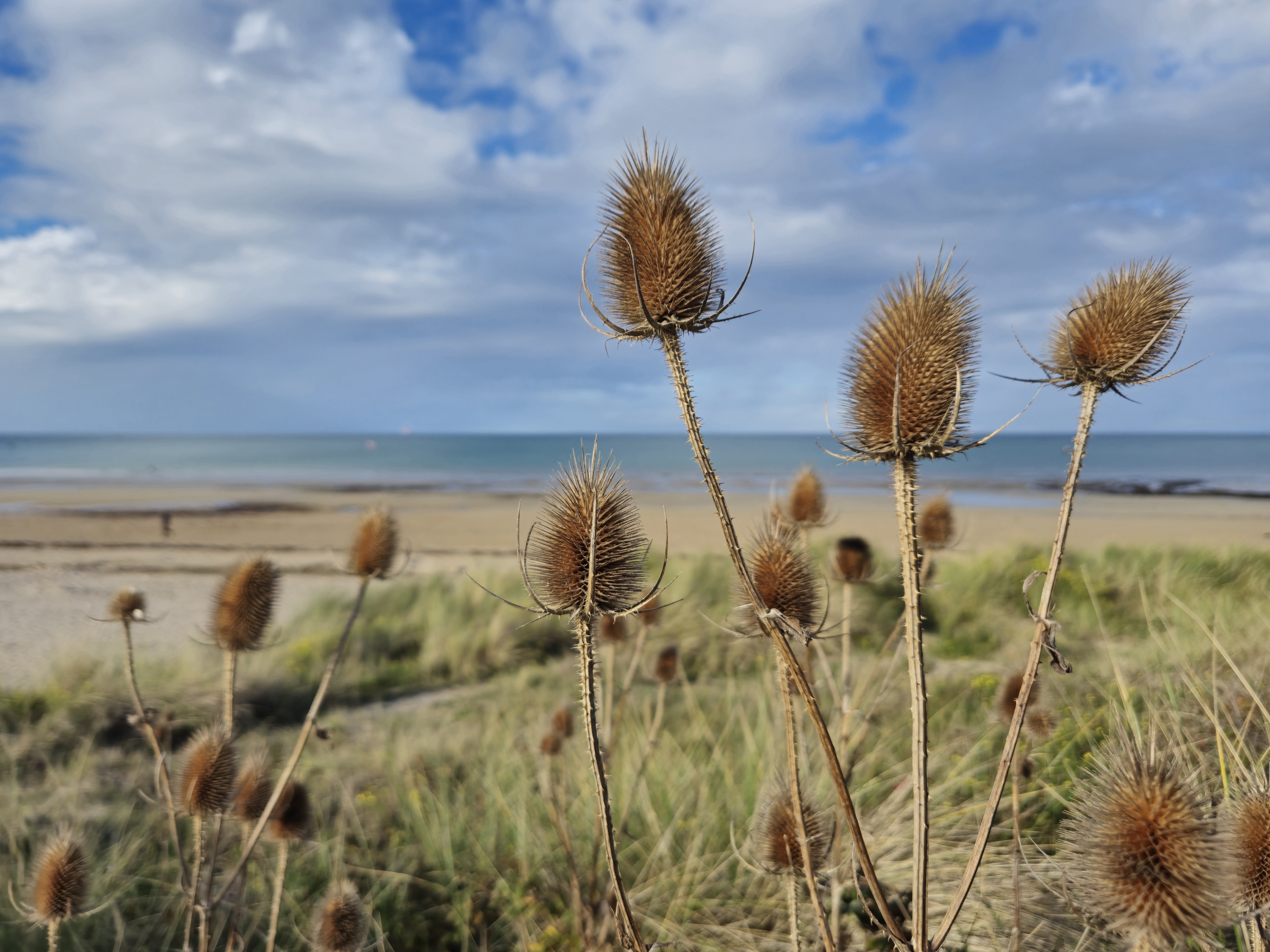 Aire de camping-car Avenue de la Combattante, Courseulles-sur-Mer - photo 9
