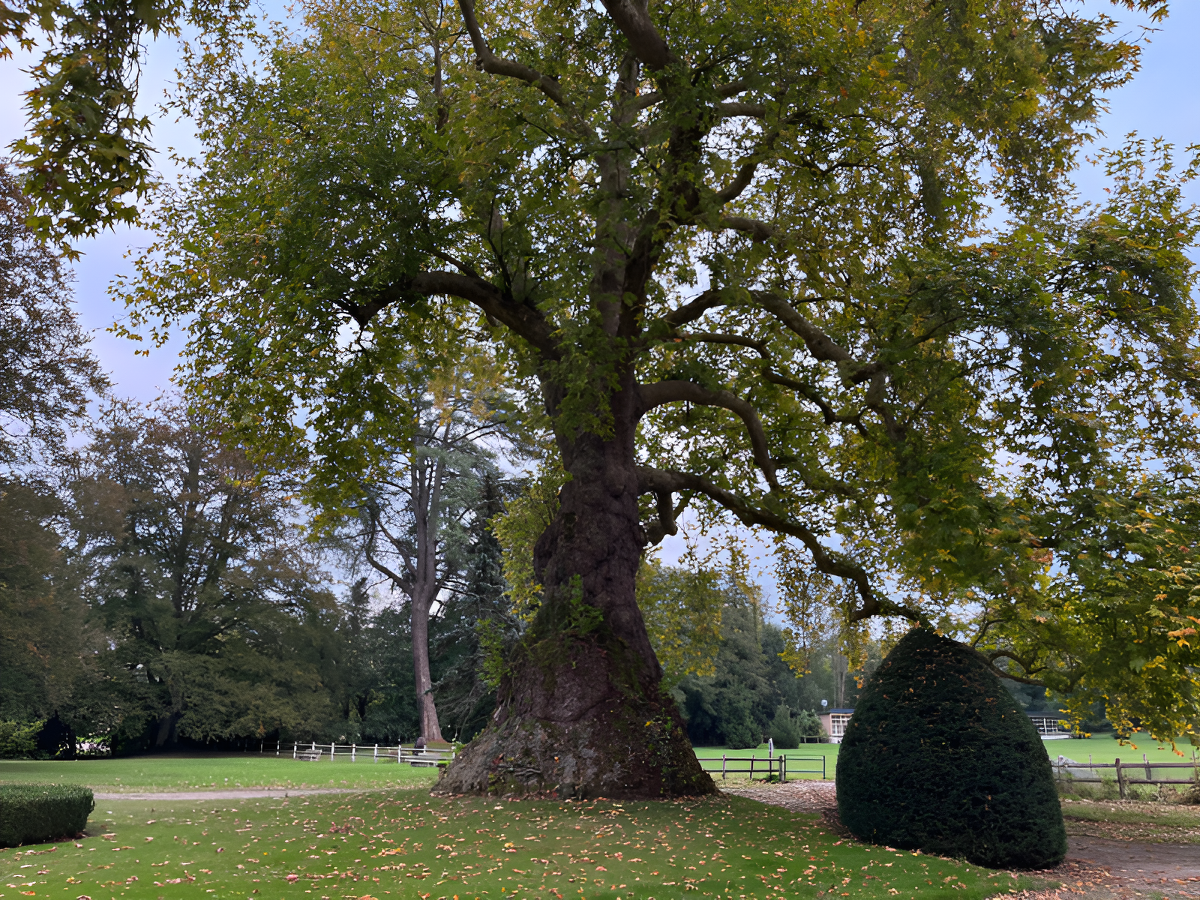 Château Le Kinnor, Livarot-Pays-d'Auge - photo 3