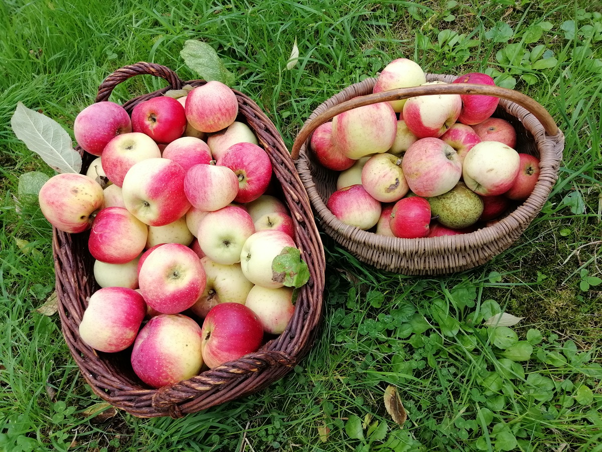 La Cantellerie-Les Mésanges, Courseulles-sur-Mer - photo 14