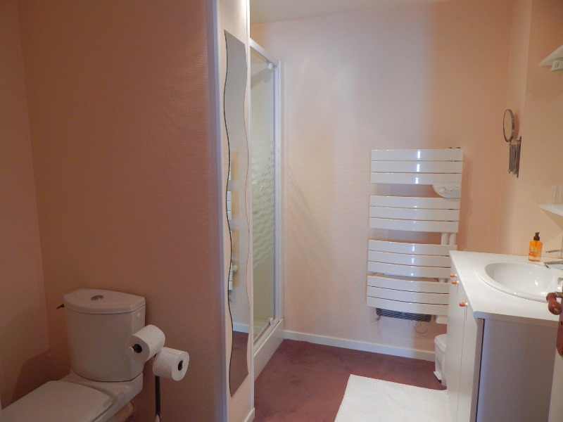 Meublé de tourisme > Le Gîte d'Agnès, La Chaise-Baudouin - photo 8