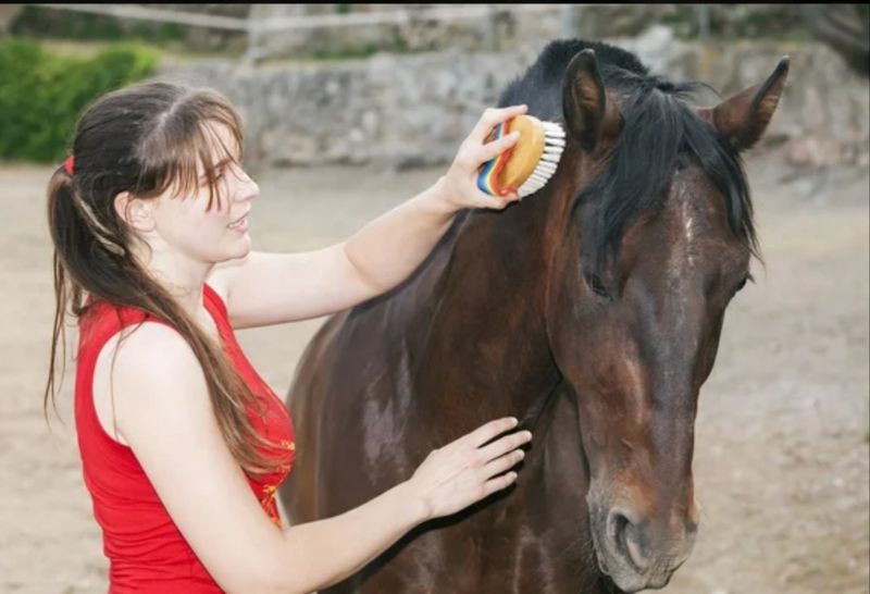 Le Riage, Genêts - photo 3