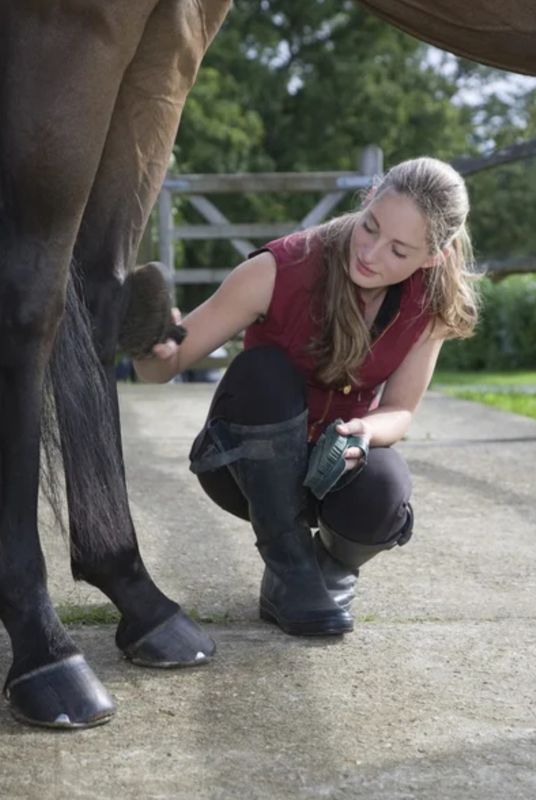 Le Riage, Genêts - photo 5