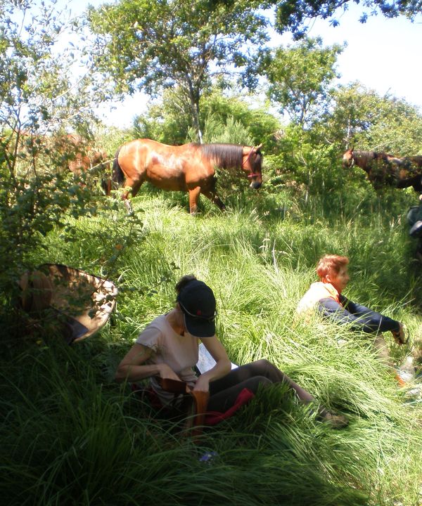 Le Riage, Genêts - photo 2