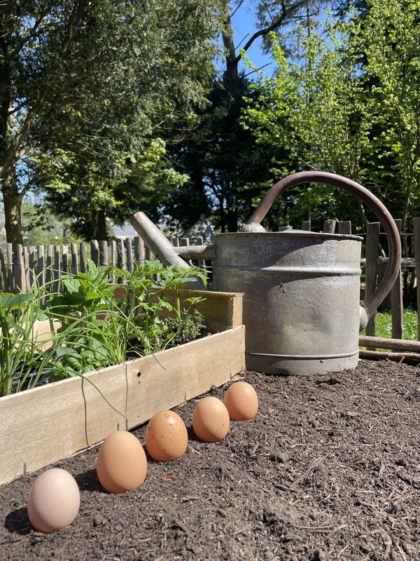 Meublé de tourisme > Les Petites Planches, La Lucerne-d'Outremer - photo 3