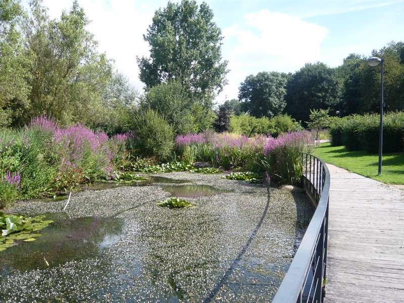 La vallée du Tortillon, Valdallière - photo 5