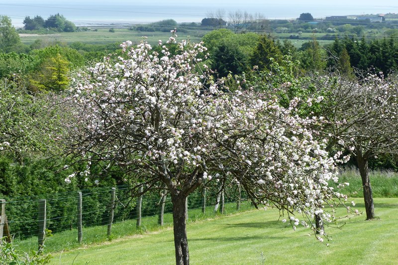 Clévacances H7222, Crasville - photo 11