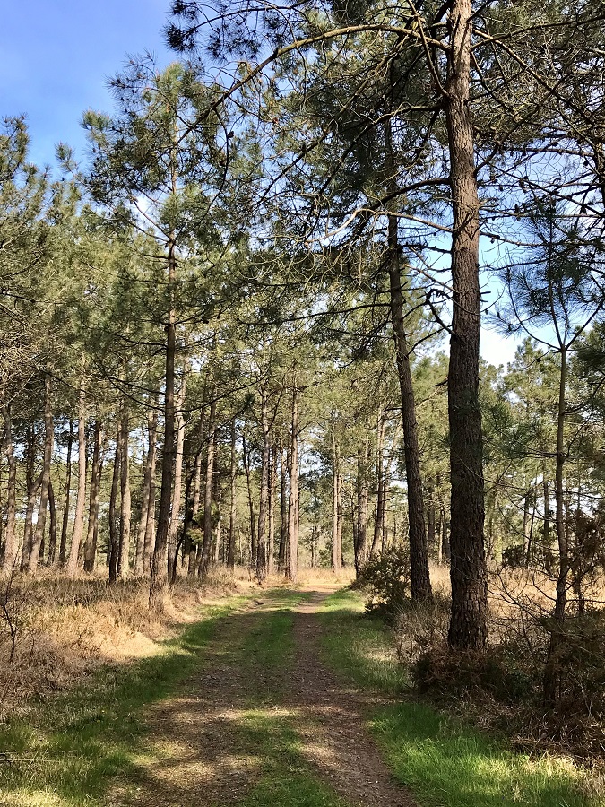 Des rives de l'Ay aux landes de Lessay - Randonnée, Lessay - photo 2