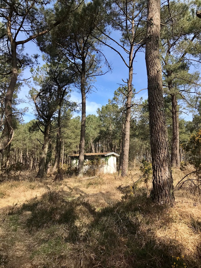 Des rives de l'Ay aux landes de Lessay - Randonnée, Lessay - photo 3