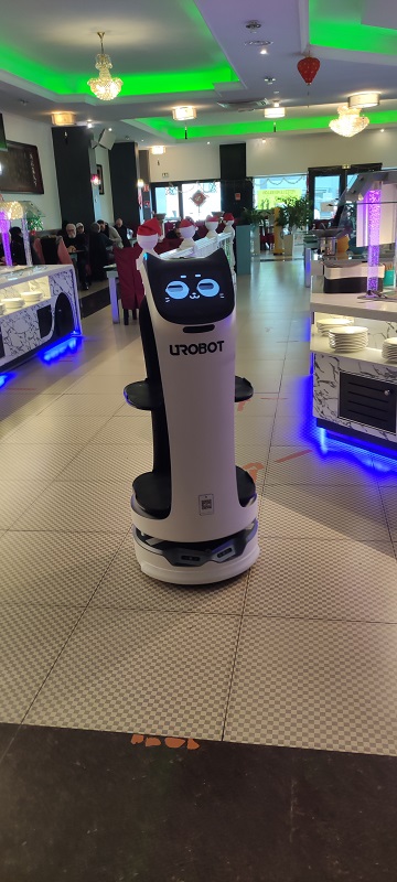 Le Grand Aigle, Yquelon - photo 4