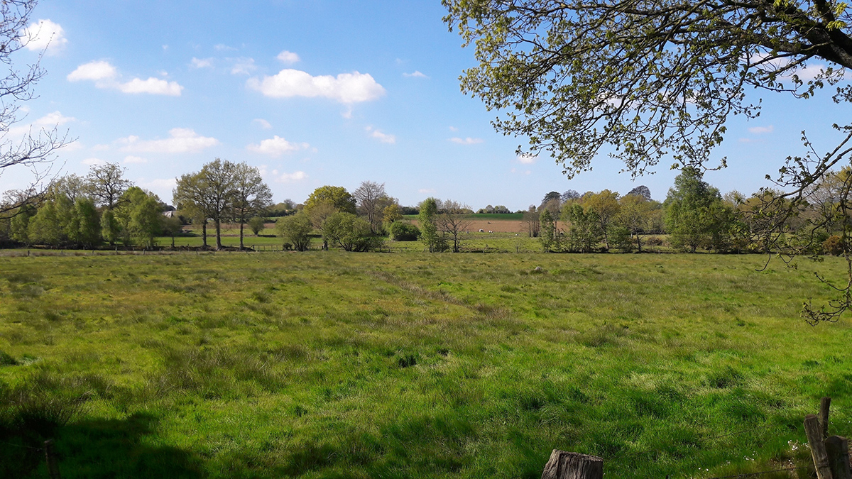 Le marais de Truttemer, Vire Normandie