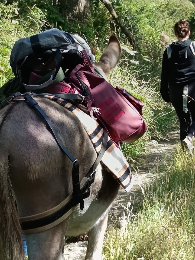 Randonnée avec un âne du Cotentin > Les Ânes de la Presqu'île, Le Mesnil