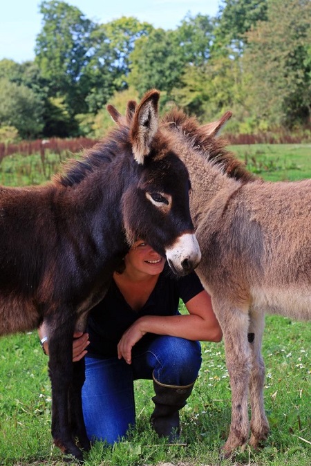 Asinerie Lisane, Remilly Les Marais - photo 7