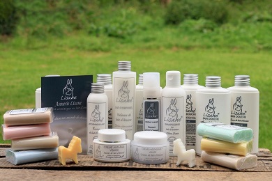 Asinerie Lisane, Remilly Les Marais - photo 5