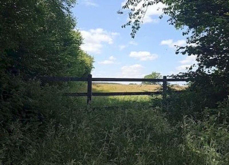 Les Rendez-vous de l'été - Randonnée accompagnée "Le Mont d'Hère"