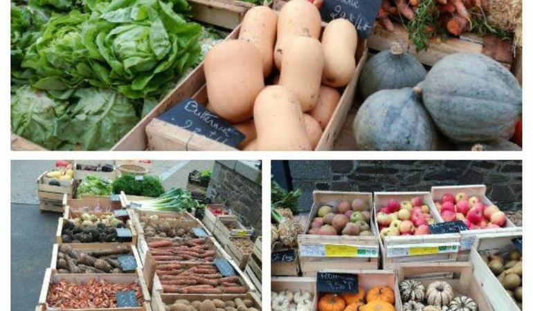 le-tanu-ferme-de-la-mercerie-2 le-tanu-ferme-de-la-mercerie-2