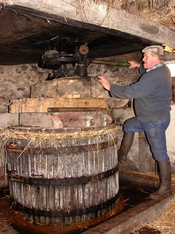 Michel Laurent - Producteur de produits cidricoles