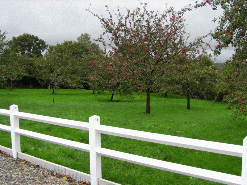 Meublé de tourisme > Le Lanchon