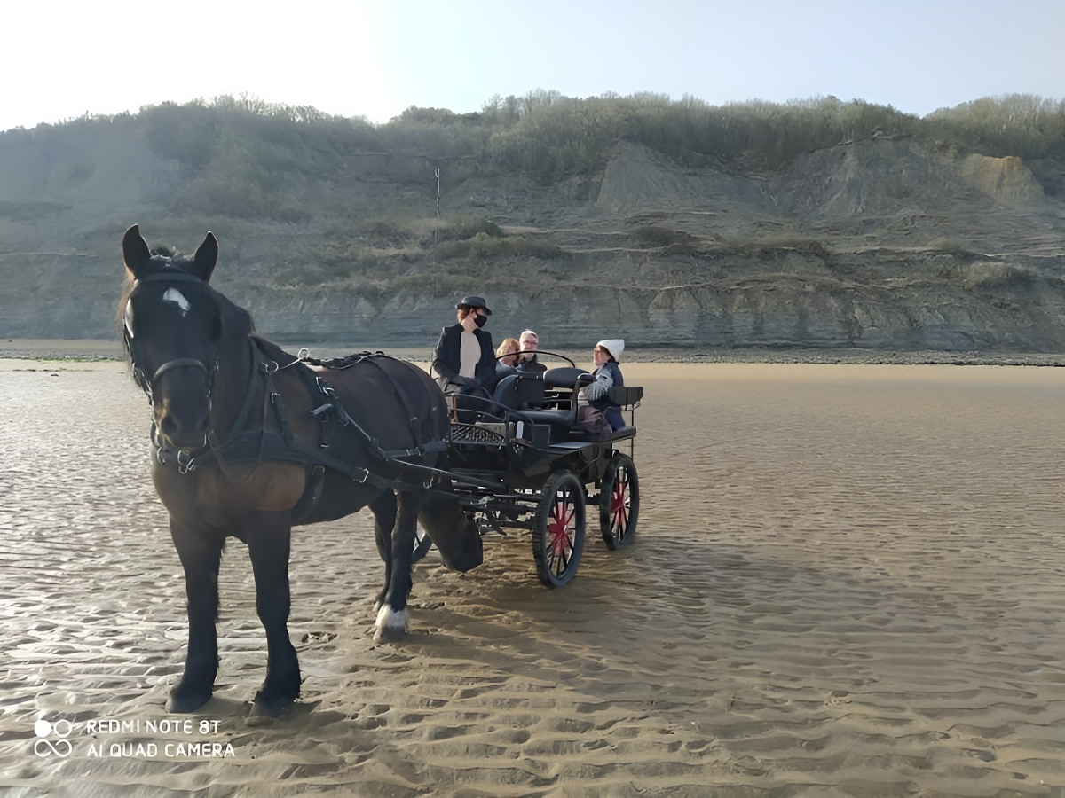 Charly Mobile, Houlgate - photo 5