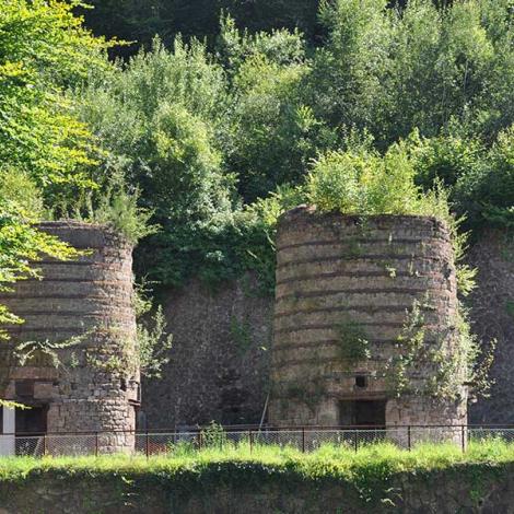 Randonnée à pied - La Ferrière aux étangs