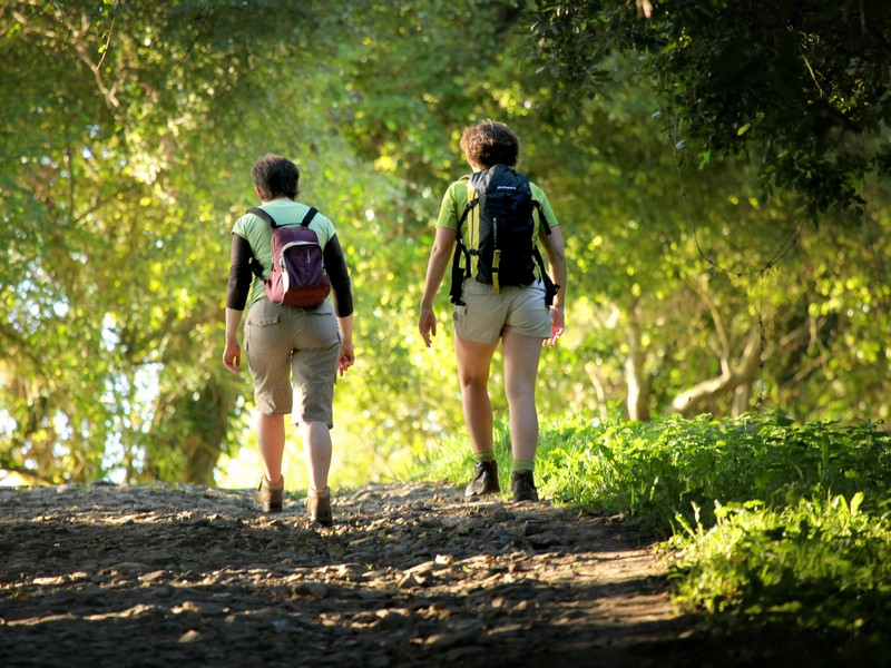 Les hauts de Roucamps, Les Monts d'Aunay - photo 4