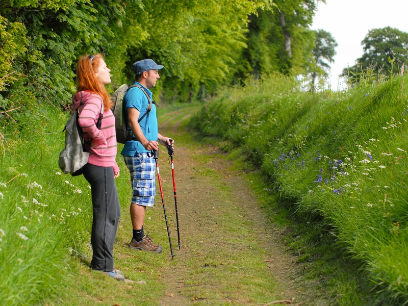 Les hauts de Roucamps, Les Monts d'Aunay - photo 3