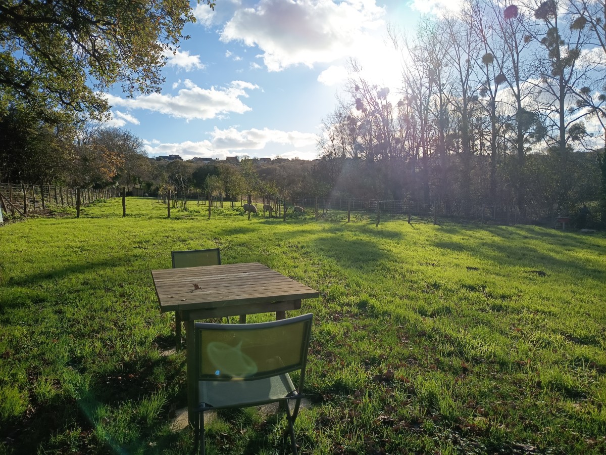 Meublé de tourisme > La Cabane Nature, Les Moitiers-d'Allonne - photo 17