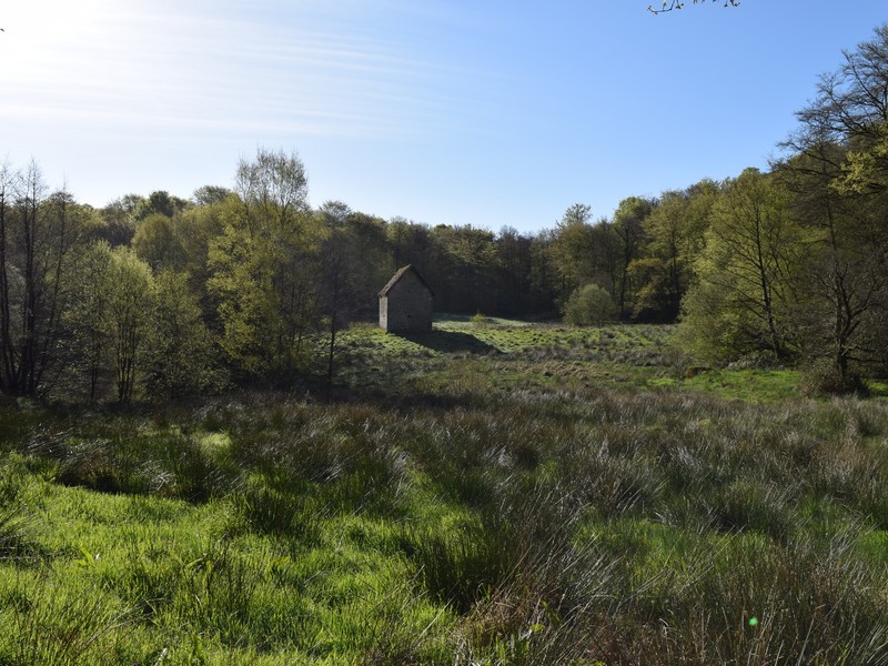 Les roches blanches, Noues de Sienne - photo 2