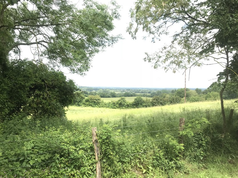 LE-MESNIL-MAUGER : Les Trois clochers - 7,8KM, Mézidon Vallée d'Auge - photo 4