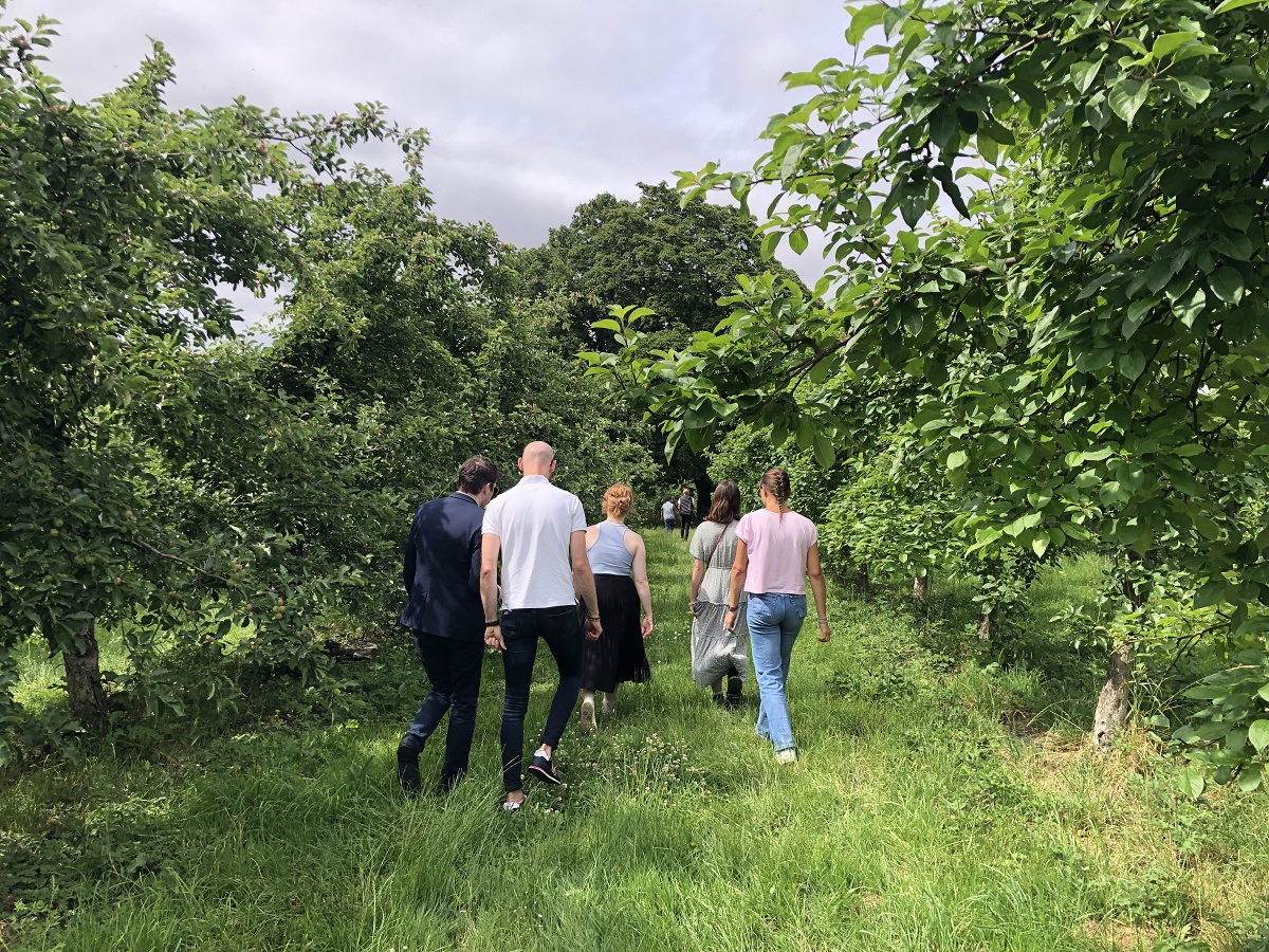 Domaine de la Flaguerie - Les Vergers de Ducy, Ducy-Sainte-Marguerite - photo 6