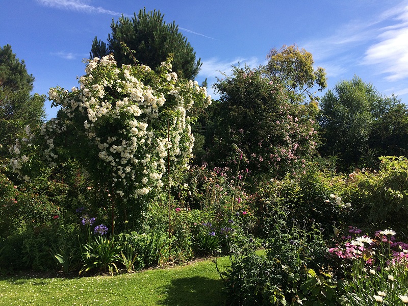 Jardin Les Sept Chênes, Lessay - photo 5