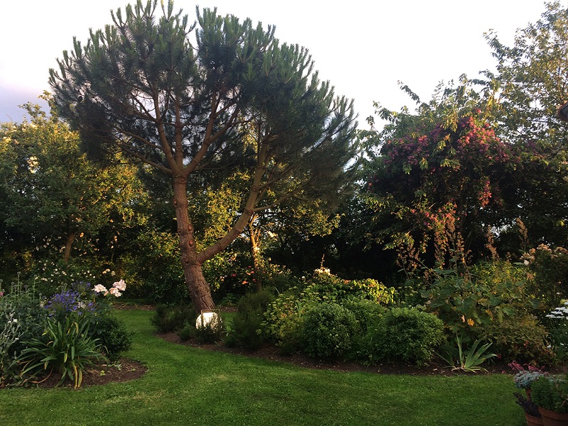 Jardin Les Sept Chênes, Lessay - photo 7