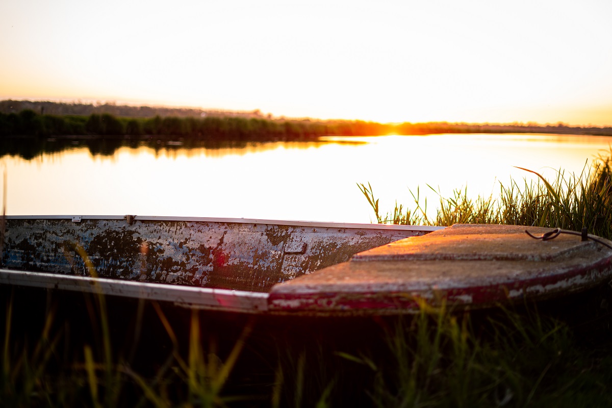 Bar de l'Anguille, Liesville-sur-Douve - photo 2