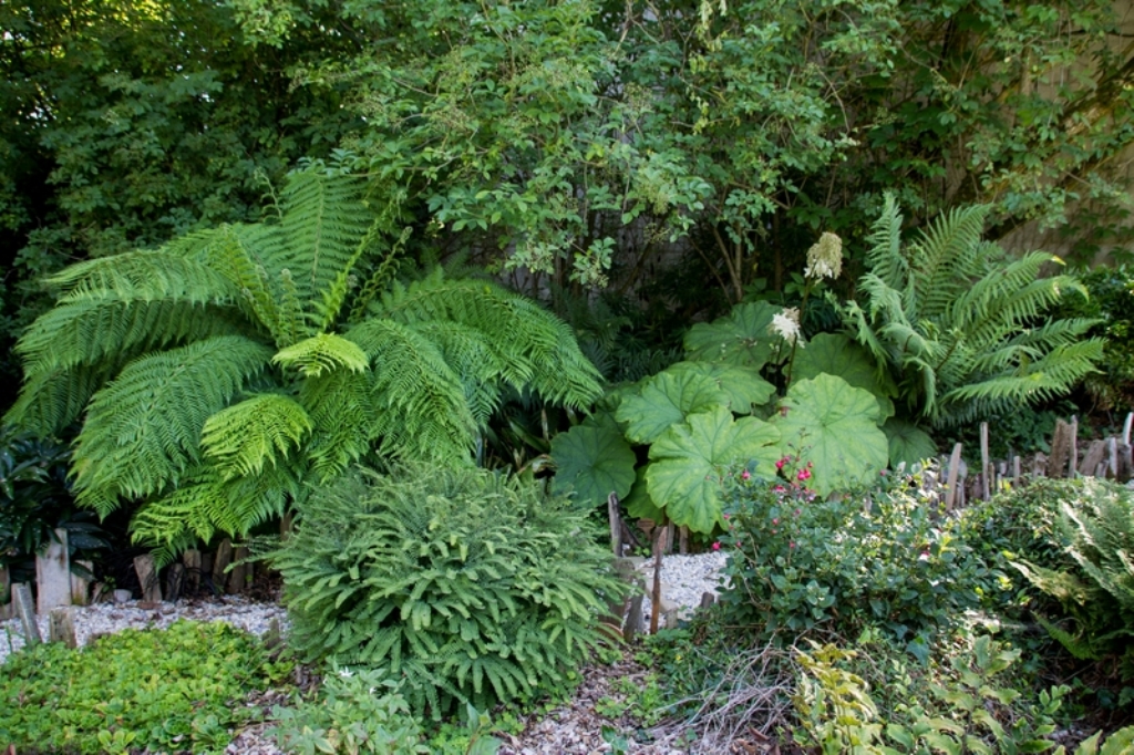 Jardin de la Poterie, Montsenelle