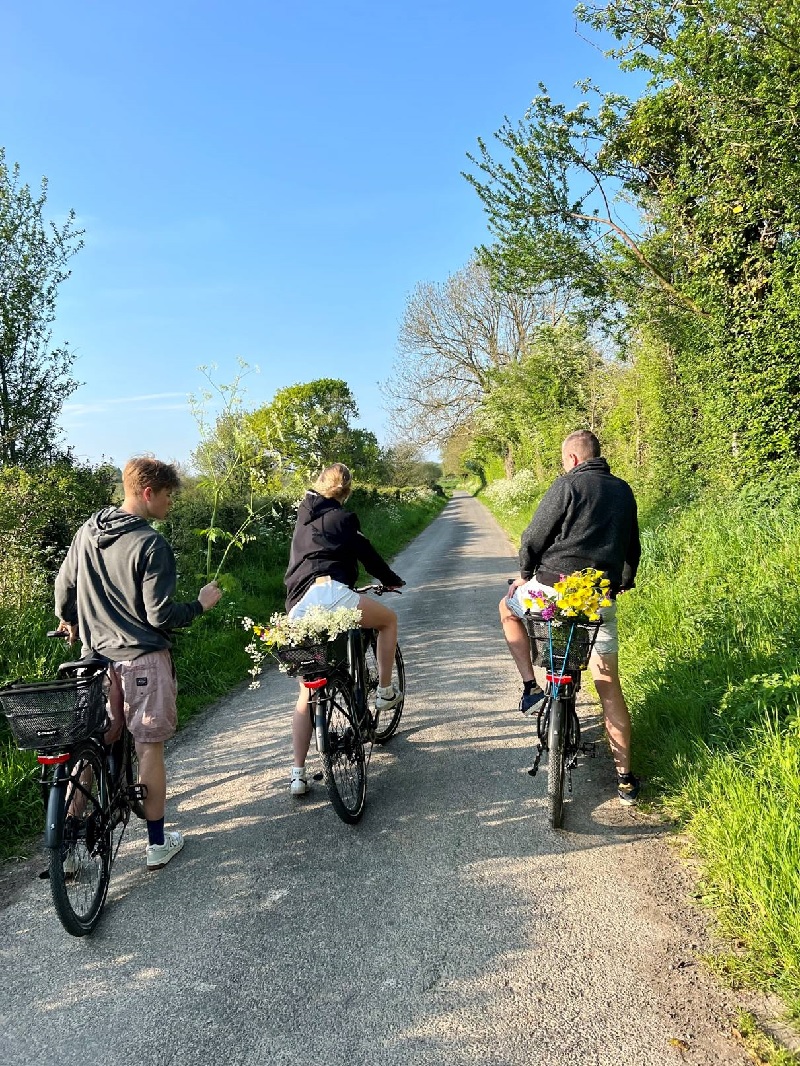 Location de vélos chez O2 CAMPING