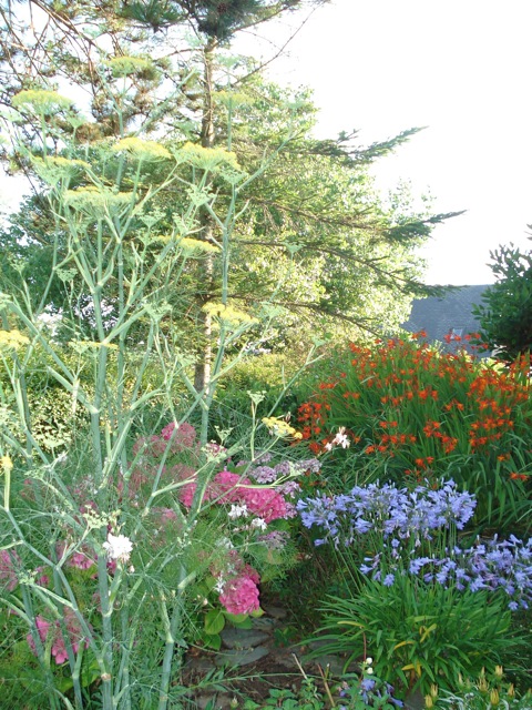 Meublé de tourisme > L'Engoulevent, Barneville-Carteret - photo 2