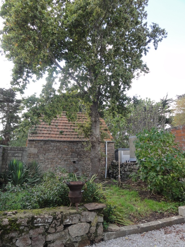 Meublé de tourisme > La Vuule Maison, Fermanville - photo 8