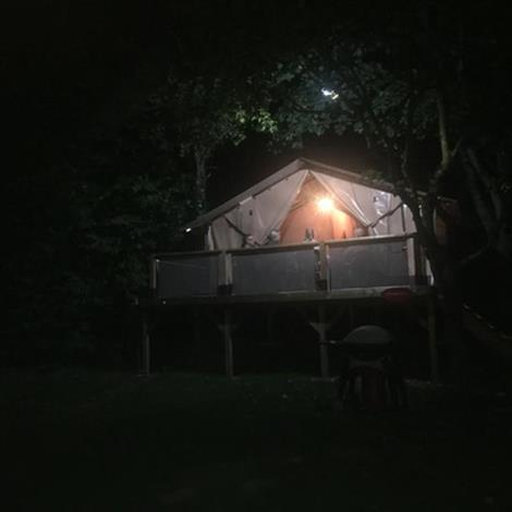 © Thepault Maryline lodge-Camping-Perche Bellemois