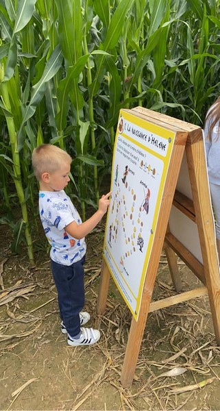 Labyrinthe de Coutances, Bricqueville-la-Blouette - photo 8
