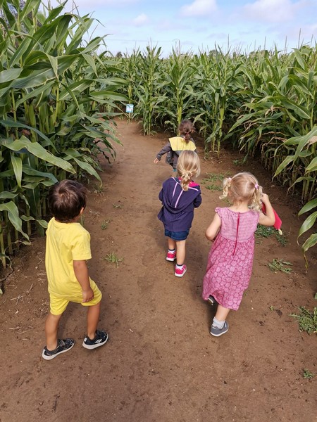 Labyrinthe de Coutances, Bricqueville-la-Blouette - photo 9