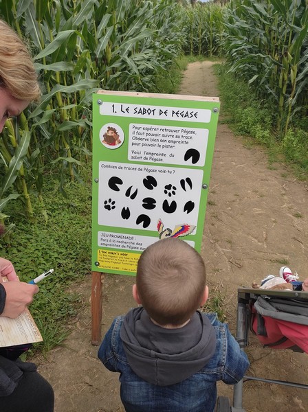 Labyrinthe de Coutances, Bricqueville-la-Blouette - photo 7