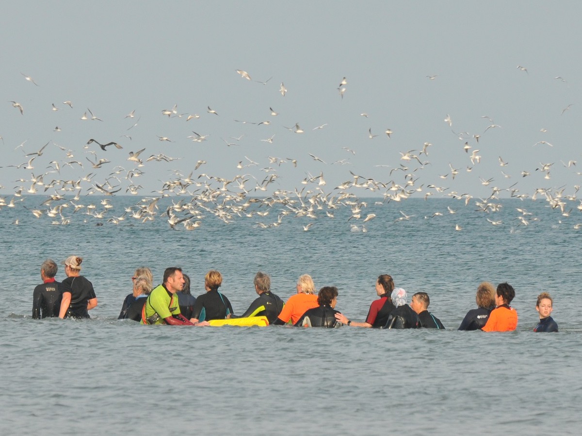 Marche Aquatique ou Longe côte à Houlgate - TM2S