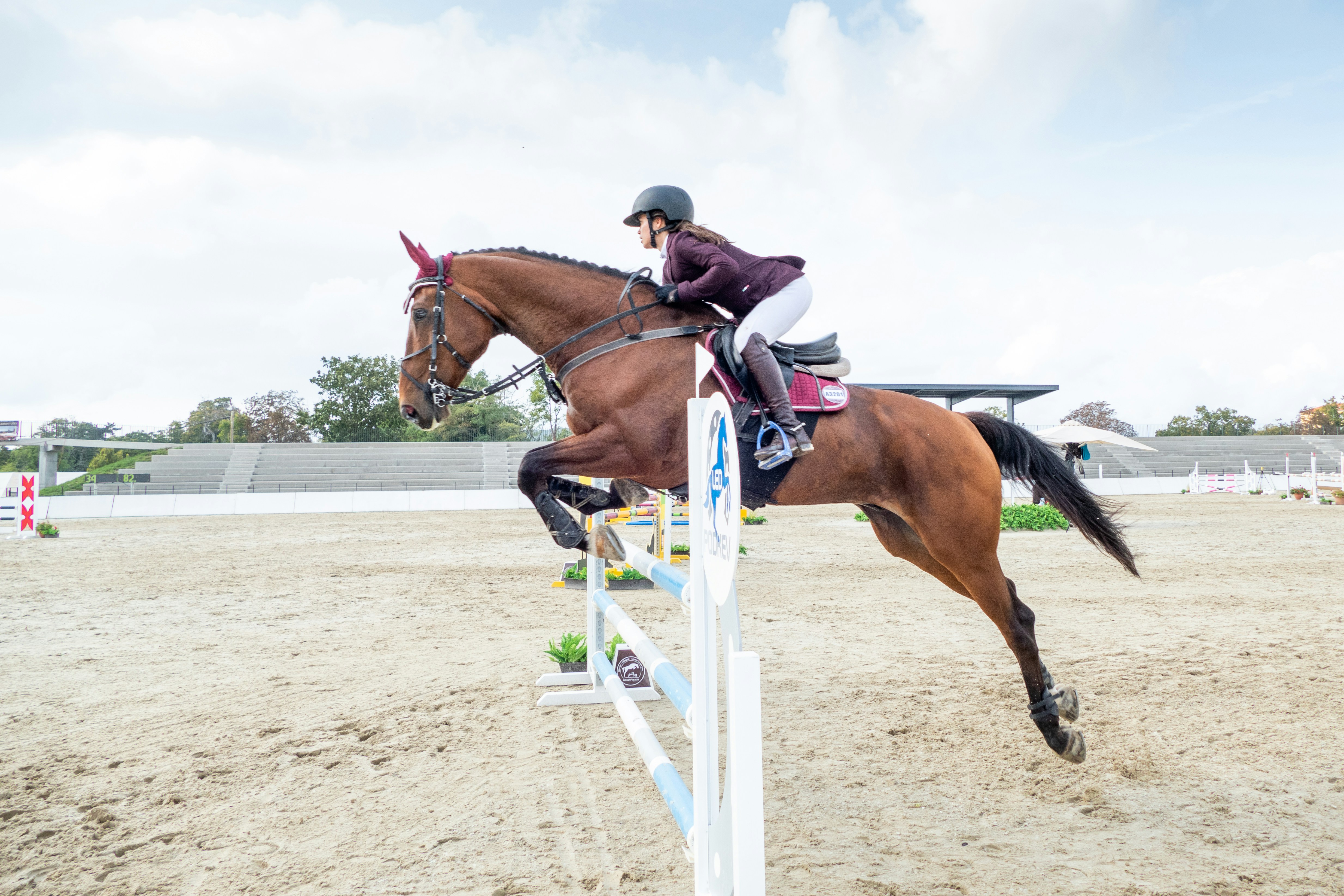 Beauregard au galop