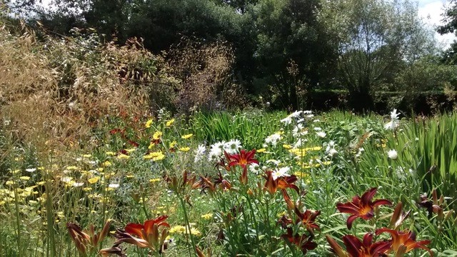 Jardin du Manoir Le Hot, Saint-Sauveur-de-Pierrepont - photo 2